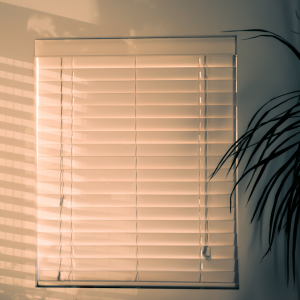 cover lights from window